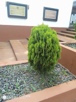 ochengojoshua.gnomio.com